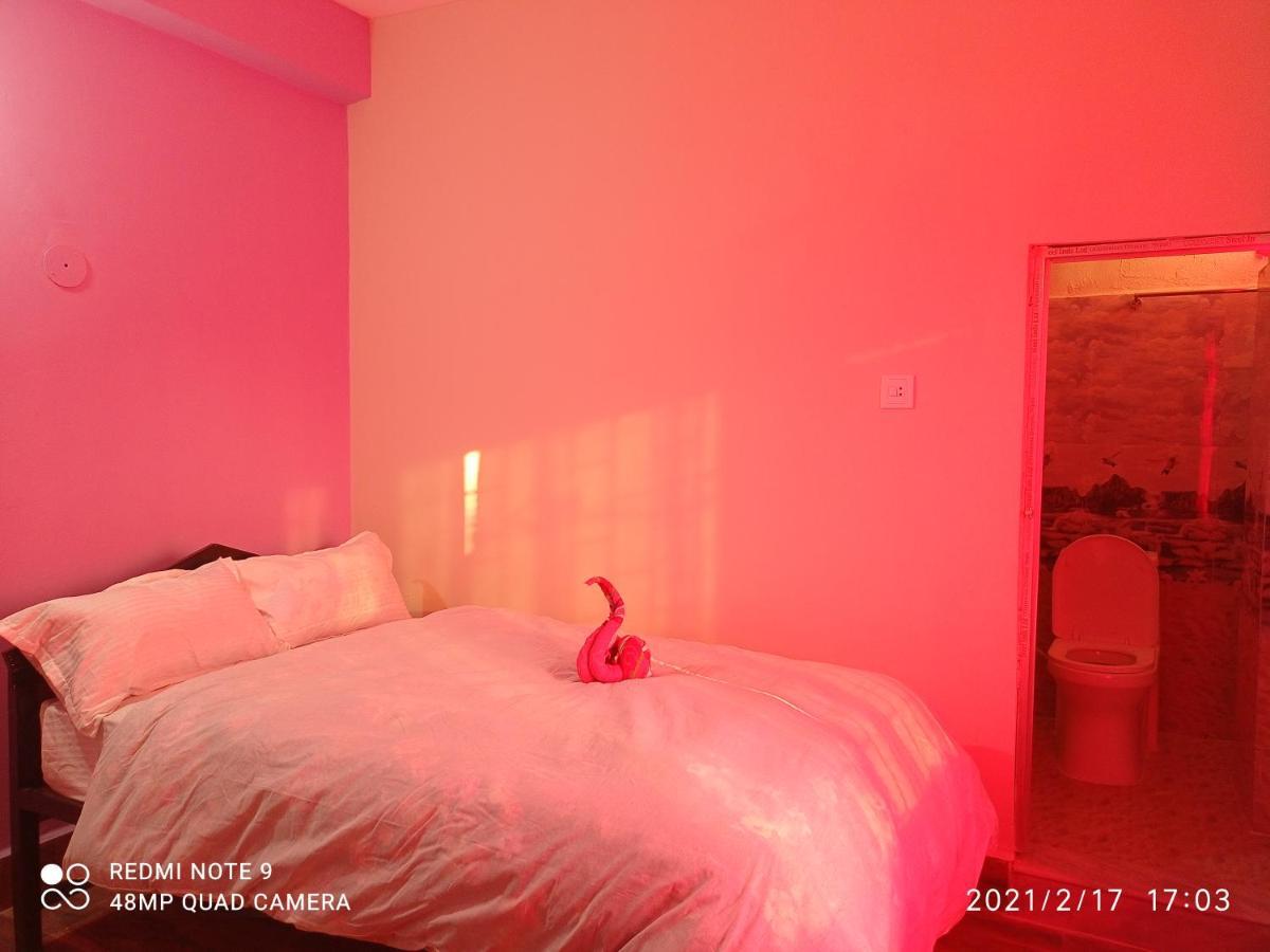 Hotel National Park Sauraha- Homely Stay And Peaceful Location With Jungle Safari Arrangements エクステリア 写真
