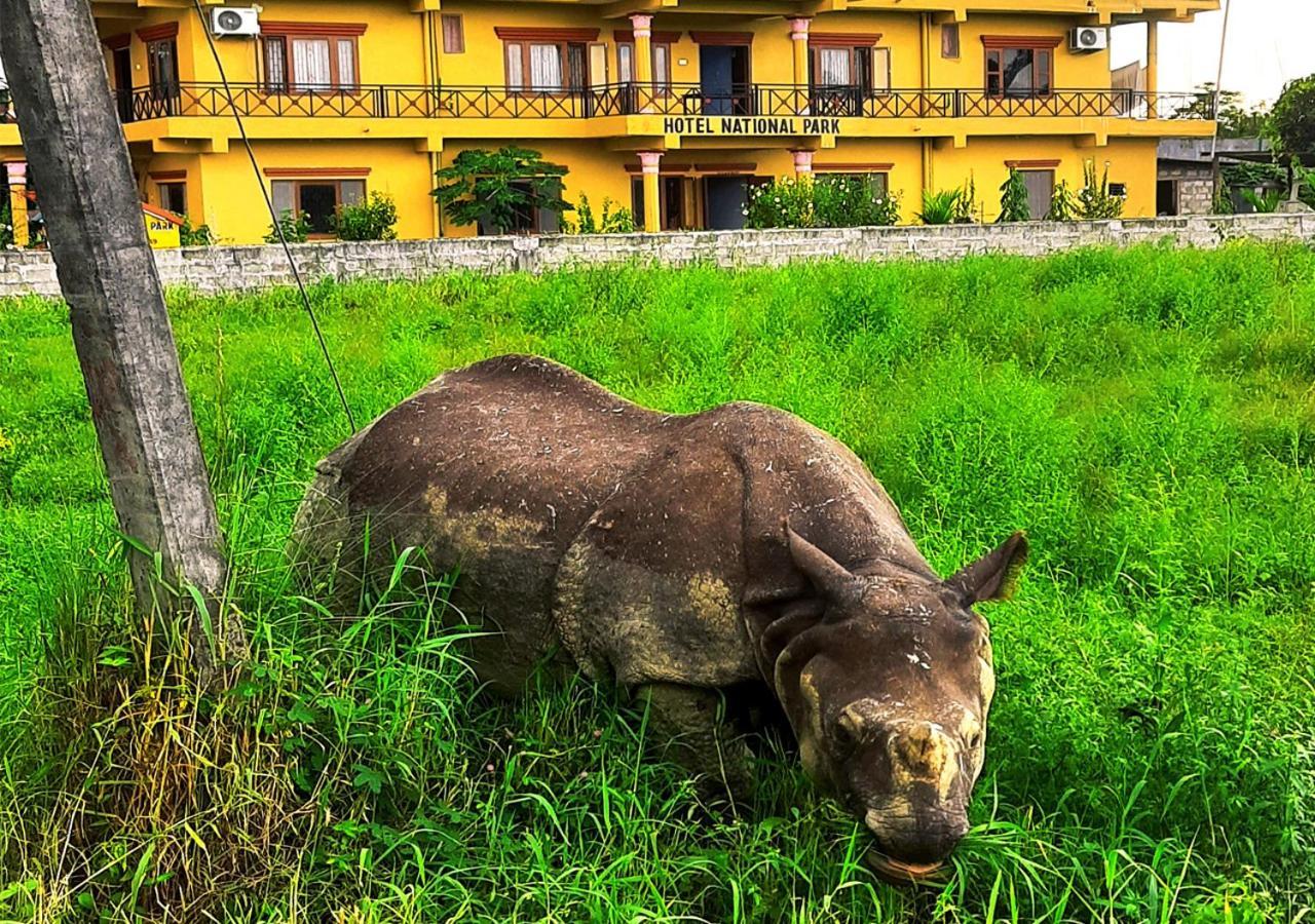 Hotel National Park Sauraha- Homely Stay And Peaceful Location With Jungle Safari Arrangements エクステリア 写真