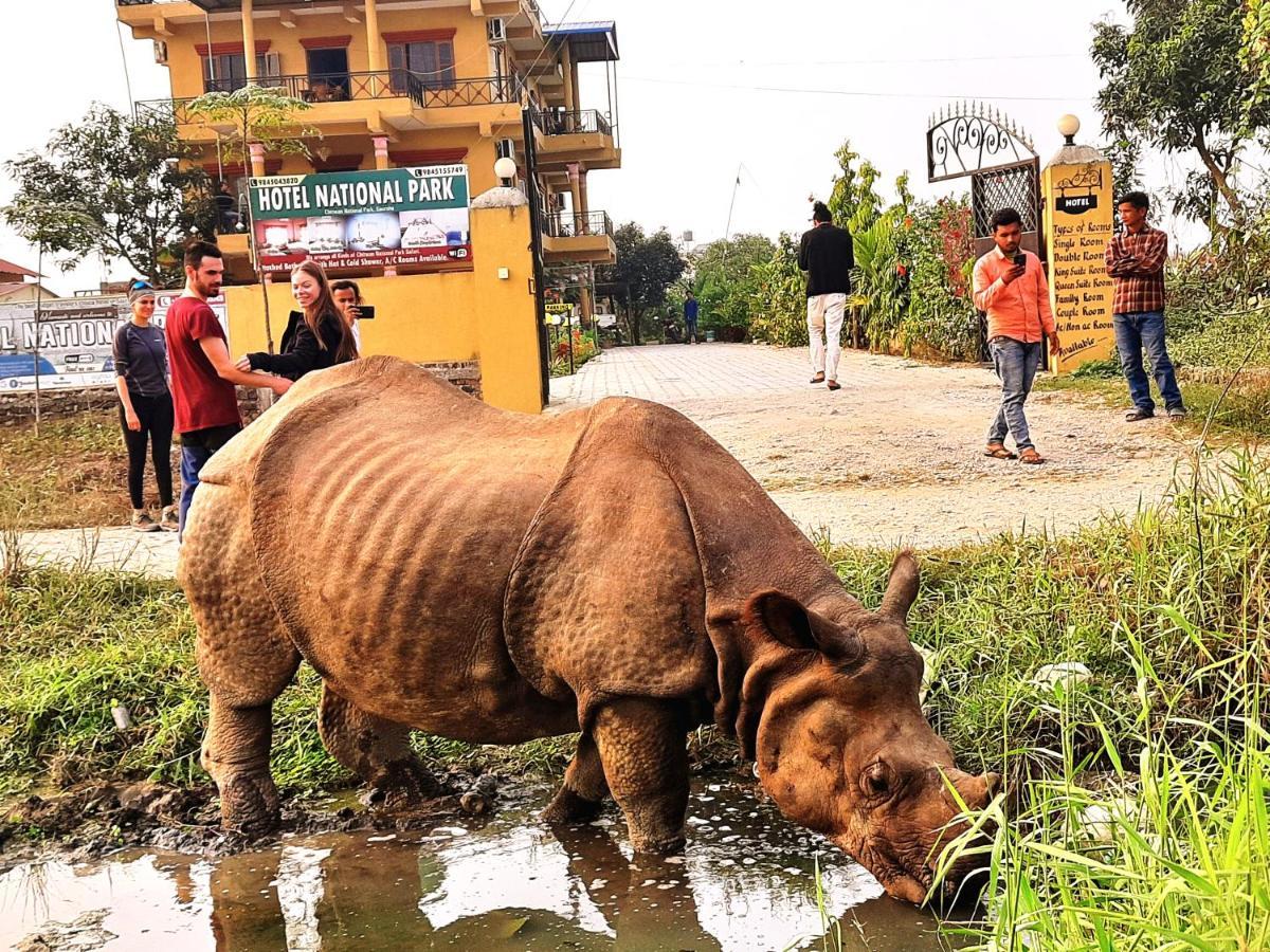 Hotel National Park Sauraha- Homely Stay And Peaceful Location With Jungle Safari Arrangements エクステリア 写真