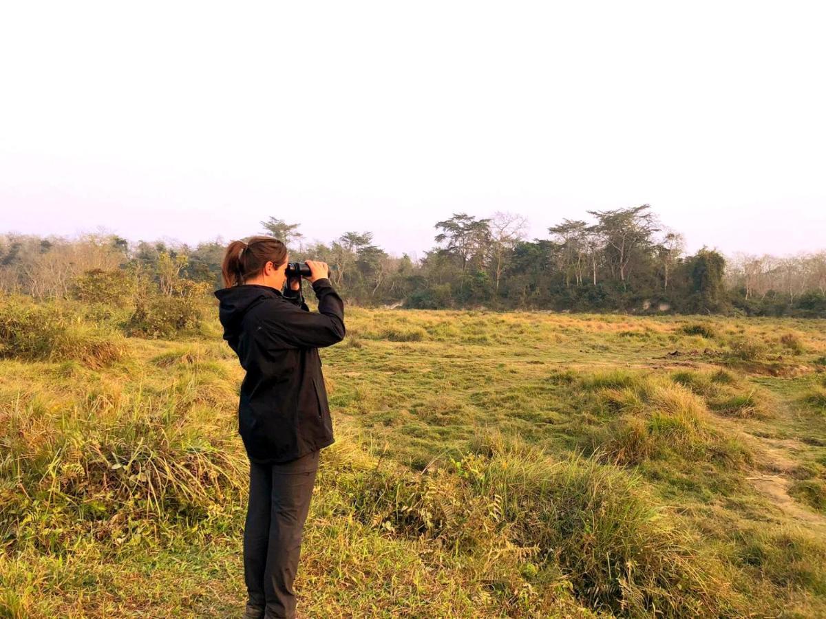 Hotel National Park Sauraha- Homely Stay And Peaceful Location With Jungle Safari Arrangements エクステリア 写真