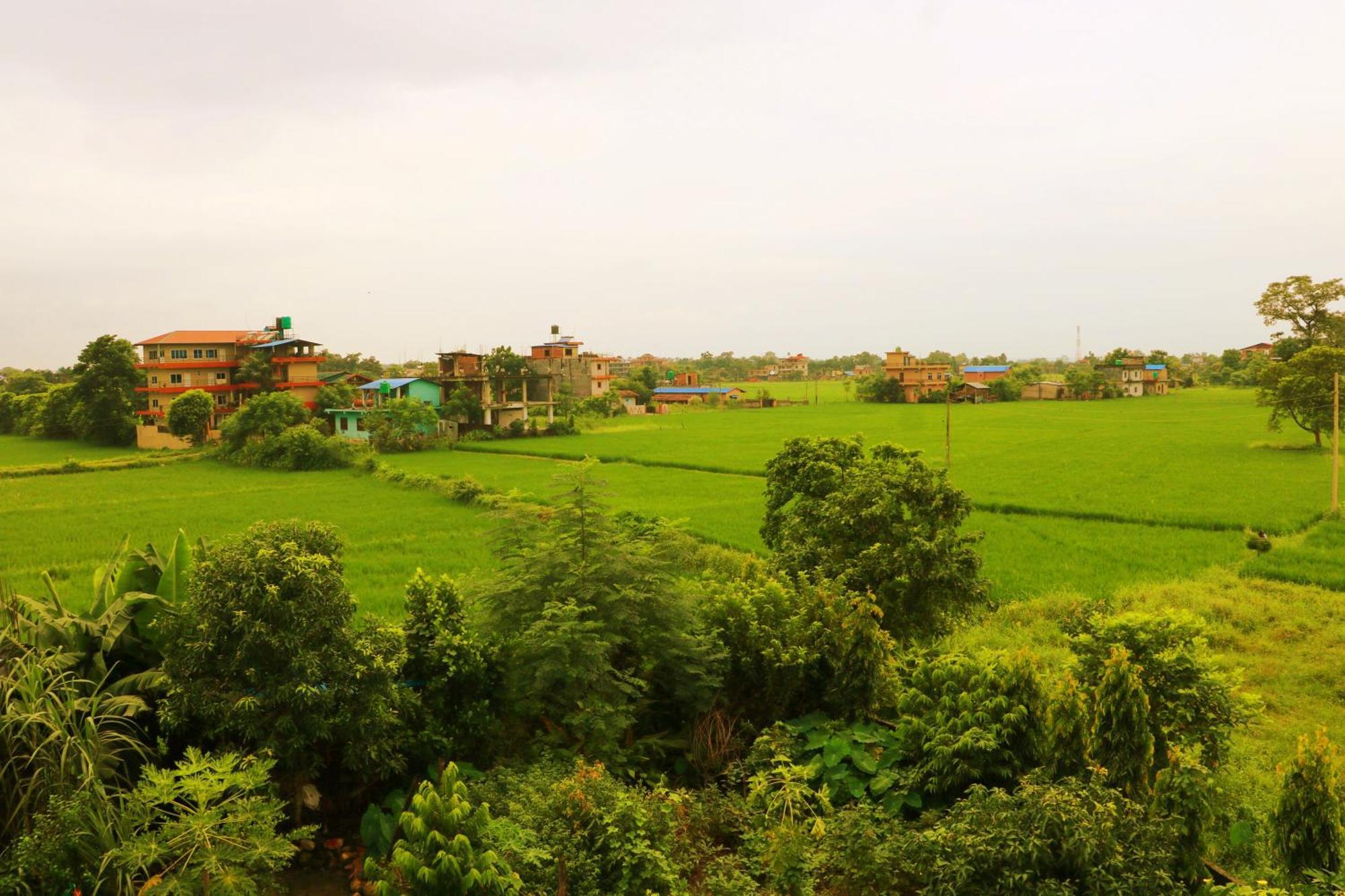 Hotel National Park Sauraha- Homely Stay And Peaceful Location With Jungle Safari Arrangements エクステリア 写真