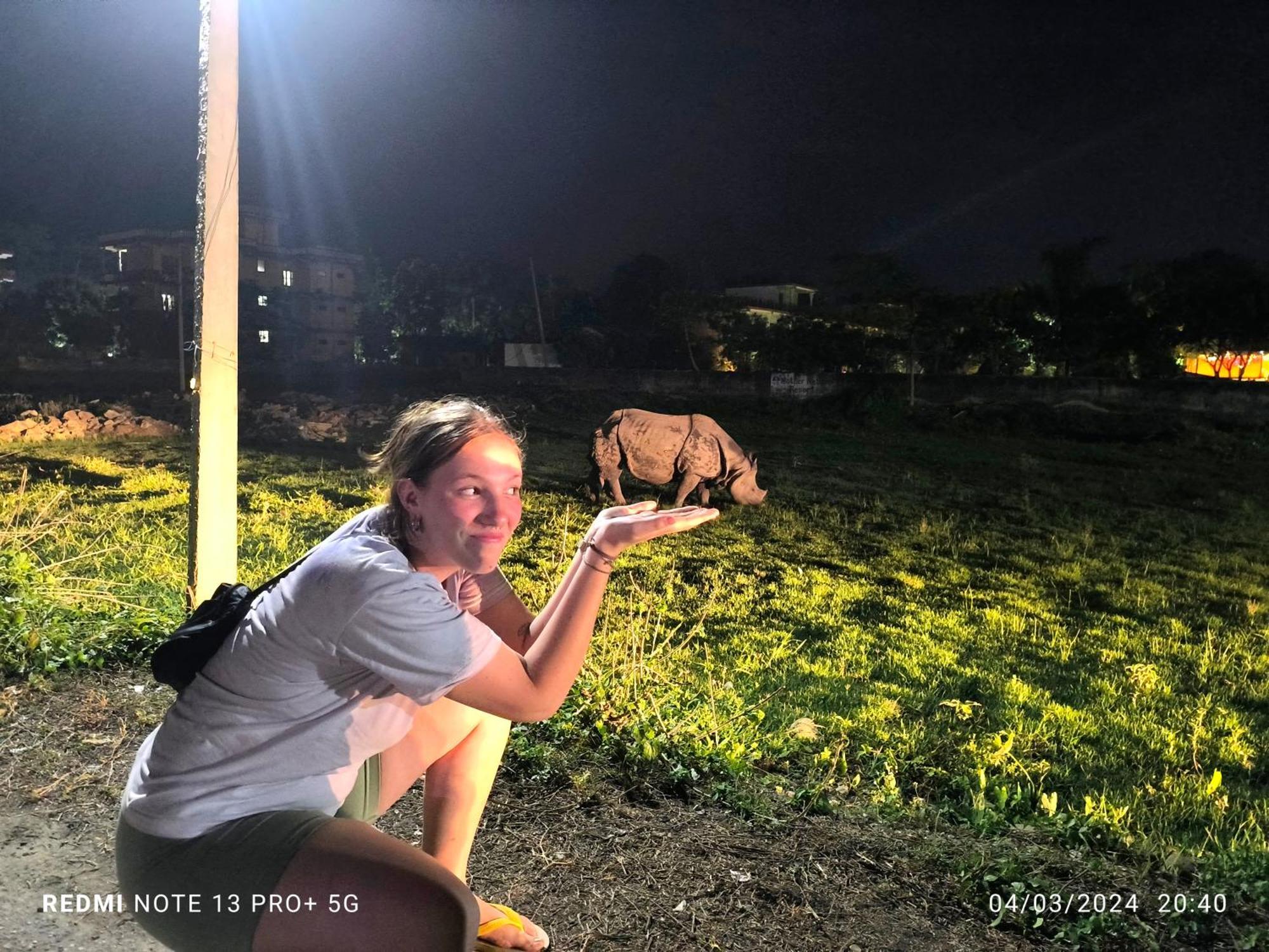 Hotel National Park Sauraha- Homely Stay And Peaceful Location With Jungle Safari Arrangements エクステリア 写真